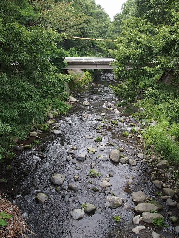 太鼓橋の上から佐野川の上流方面を撮影