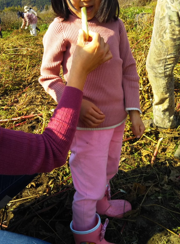大豆収穫作業のごほうびに舌鼓を打つ子供たち。幸せなひとときです。