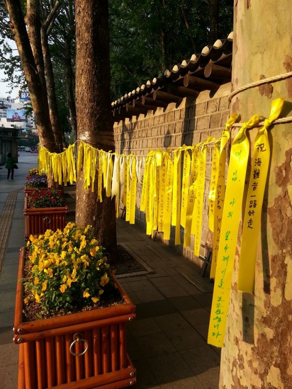 Yellow ribbons and hand-written messages at a memorial for the victims of the sinking of the Sewol. by K Wells