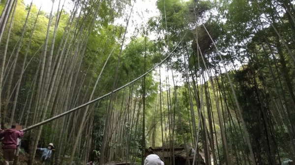 体験から学ぶ Part21 ～メンマ作りから始める竹林整備～