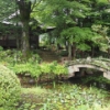 2014夏休みレポート Vol.2 ～飛騨高山 その2～