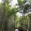 体験から学ぶ Part21 ～メンマ作りから始める竹林整備～ by cha_chan