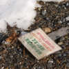 雪融けの下から出てきた言葉