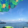 海水浴はジオな魅力の伊豆・大瀬崎へ♪