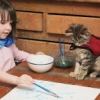 自閉症の画家アイリスちゃんと、彼女の心を開いた一匹の猫 | TABI LABO